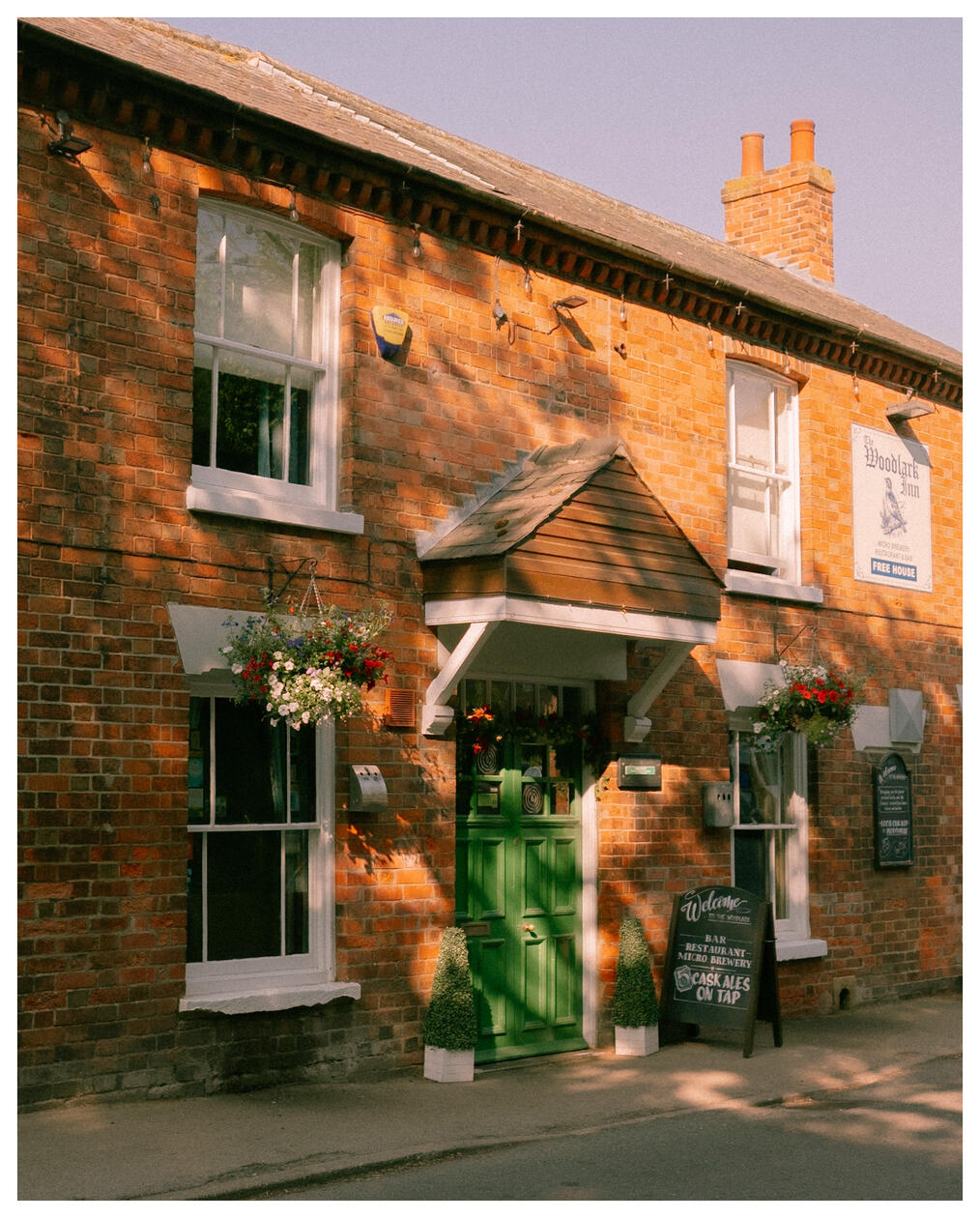 The Woodlark