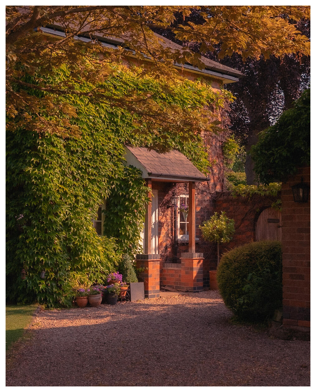 Leafy doorway