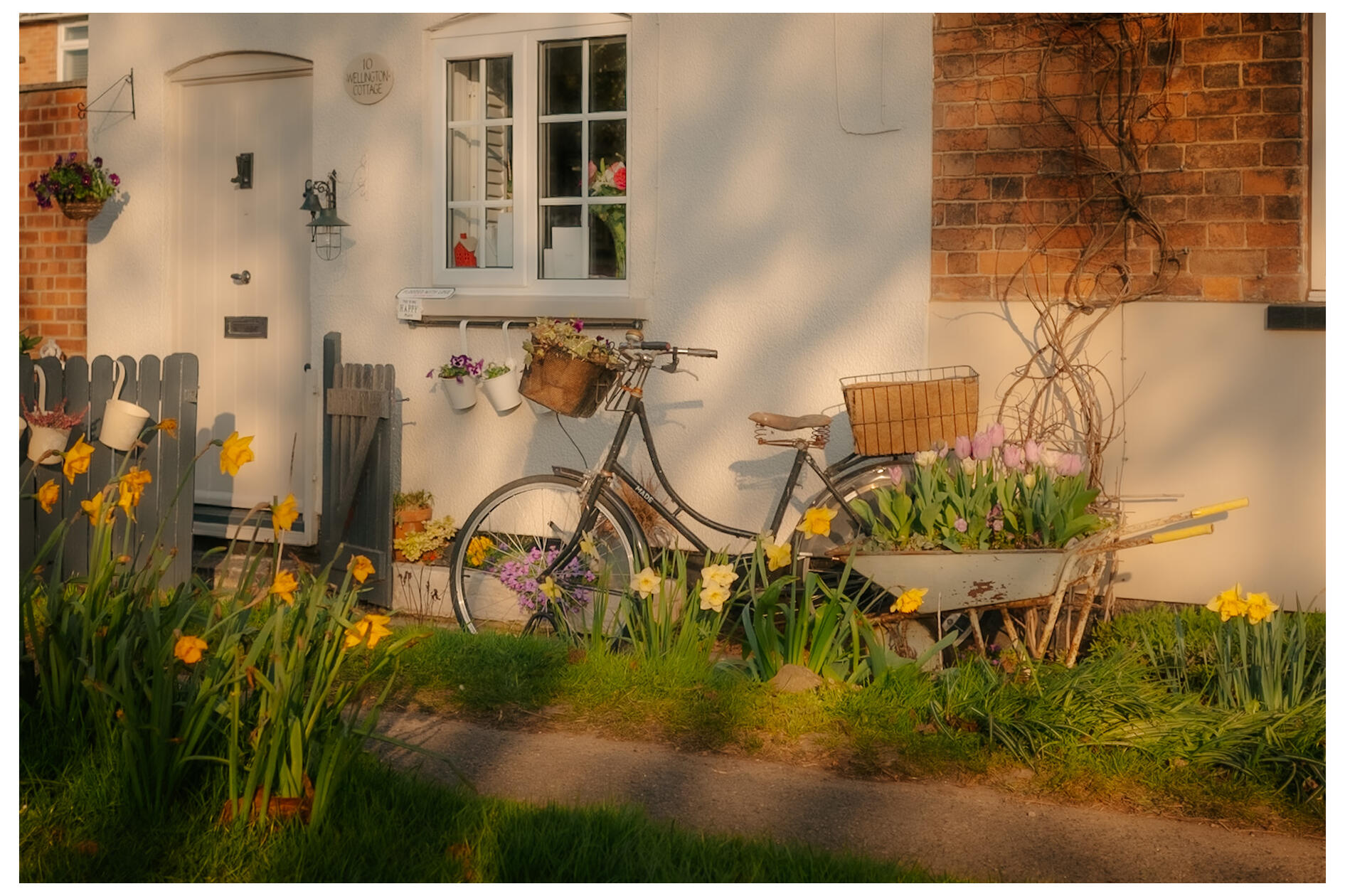 Spring bike